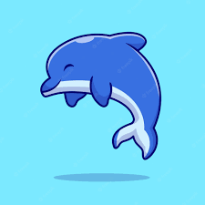 דולפין🐬